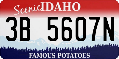ID license plate 3B5607N