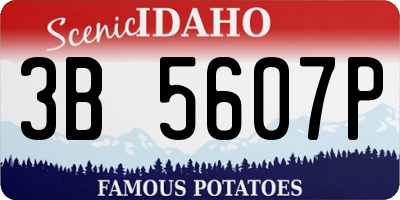 ID license plate 3B5607P