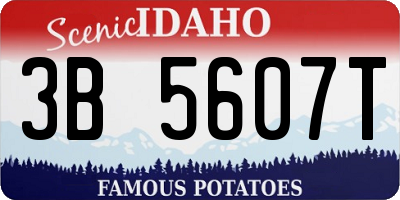 ID license plate 3B5607T