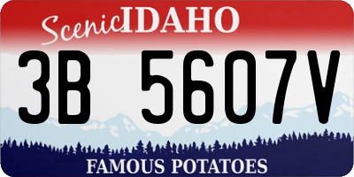 ID license plate 3B5607V