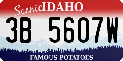 ID license plate 3B5607W