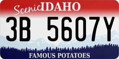 ID license plate 3B5607Y