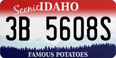 ID license plate 3B5608S