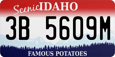 ID license plate 3B5609M