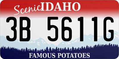 ID license plate 3B5611G