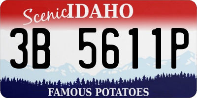 ID license plate 3B5611P