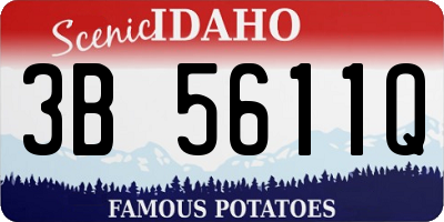 ID license plate 3B5611Q