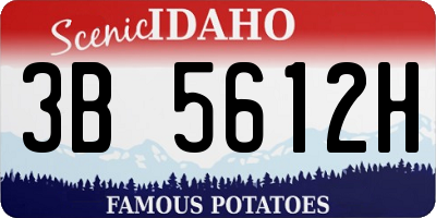 ID license plate 3B5612H