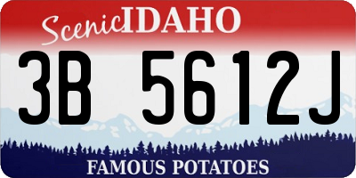 ID license plate 3B5612J