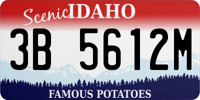 ID license plate 3B5612M