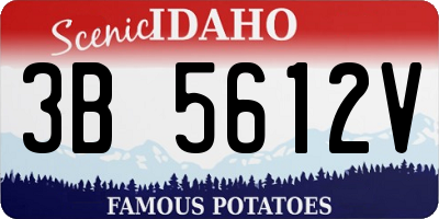 ID license plate 3B5612V