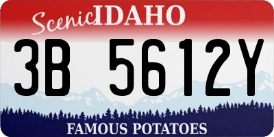 ID license plate 3B5612Y