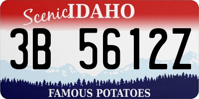 ID license plate 3B5612Z