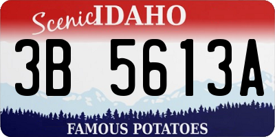 ID license plate 3B5613A