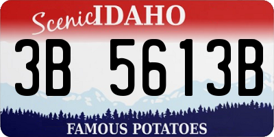 ID license plate 3B5613B