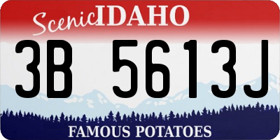 ID license plate 3B5613J
