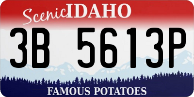 ID license plate 3B5613P