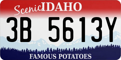 ID license plate 3B5613Y