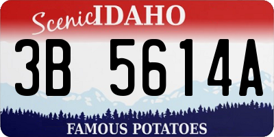 ID license plate 3B5614A