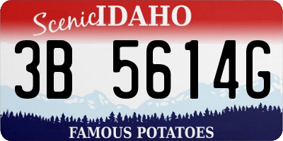 ID license plate 3B5614G
