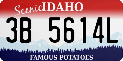 ID license plate 3B5614L