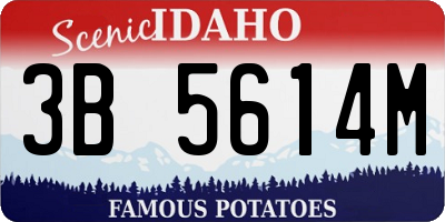 ID license plate 3B5614M