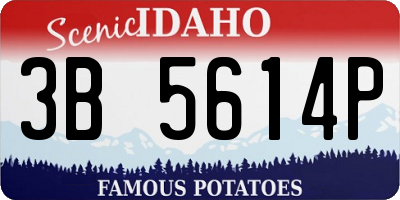 ID license plate 3B5614P