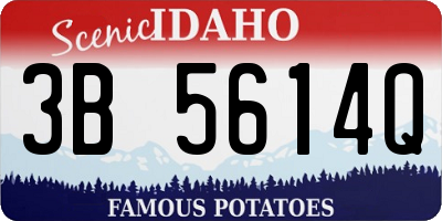 ID license plate 3B5614Q