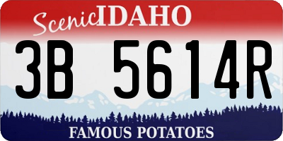 ID license plate 3B5614R