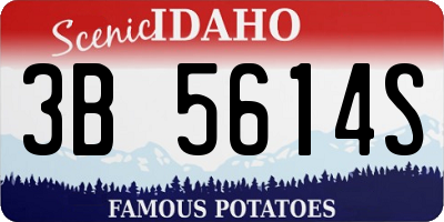 ID license plate 3B5614S