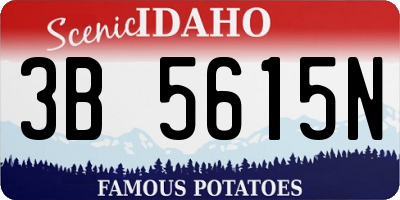 ID license plate 3B5615N