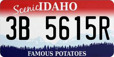 ID license plate 3B5615R