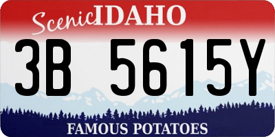 ID license plate 3B5615Y