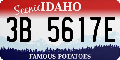 ID license plate 3B5617E