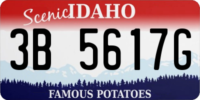 ID license plate 3B5617G