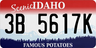 ID license plate 3B5617K