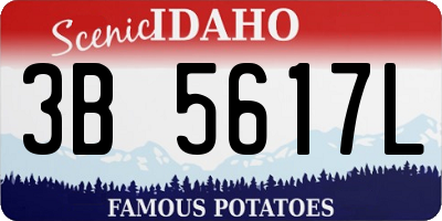 ID license plate 3B5617L