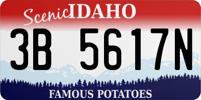 ID license plate 3B5617N
