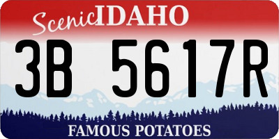 ID license plate 3B5617R