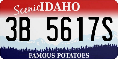 ID license plate 3B5617S