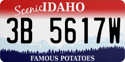 ID license plate 3B5617W