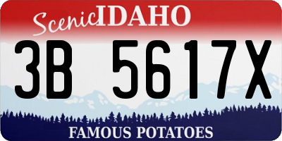 ID license plate 3B5617X