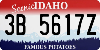 ID license plate 3B5617Z