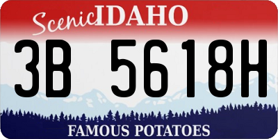 ID license plate 3B5618H