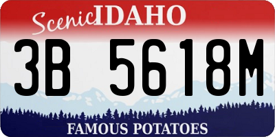 ID license plate 3B5618M