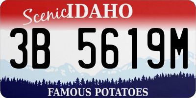 ID license plate 3B5619M
