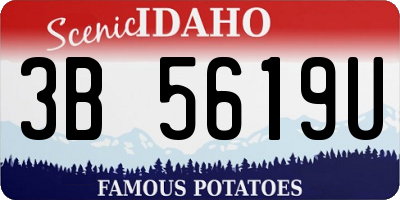 ID license plate 3B5619U