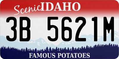 ID license plate 3B5621M
