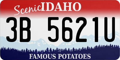 ID license plate 3B5621U