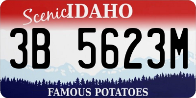ID license plate 3B5623M